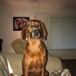 Mcneill Ray - @mcneill_ray__ - Instagram