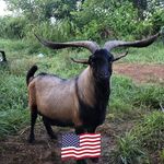 Ray McNulty - @bwe922 - Instagram