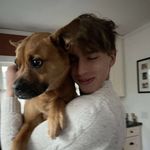 Ray McNulty - @rraymcn - Instagram