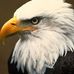 Ray McWhorter - Facebook