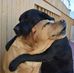 Ray Meisner - Facebook
