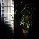Raymond C. Meisner - @to._.rcer2139 - Instagram