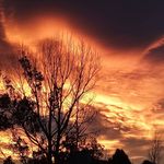 Ray Melancon - @ray.melancon.754 - Instagram