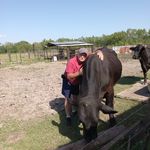 Raymond Melancon - @twinoaksfarm58 - Instagram