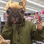Ray Melendez - @ray4prez - Instagram