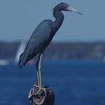 Ray Mellott - @ray.mellott - Instagram
