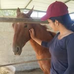 Ray Merlo - @raybelmerlo - Instagram