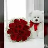 اصلي ميسانية وفتخر - @ipraymessengerandproud - TikTok