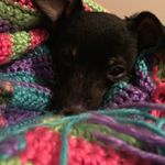 Remy Ray Messina - @remyraymessina - Instagram