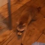 Ray Meyers - @ray_meyers - Instagram