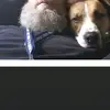 Ray Michaud - @ray.michaud - TikTok