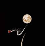 Ray Mekus - Facebook