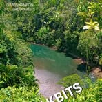 Rayhab Mikes - Facebook