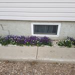 Ray Milne - @rainman9559 - Instagram