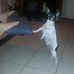 Ray Moeller - Facebook