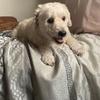 ray.mora - @ray.mora - TikTok