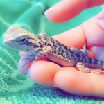 xiggie ray moritz - @xiggie_thedragon19 - Instagram