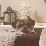 Johnny-Ray Morrow - @morrowjohnnyray - Instagram
