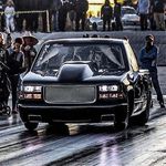 Maximus - @ray_morton_maximus - Instagram