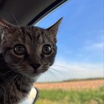Athena Ray Moseley - @athena_the_demon_kitty_ - Instagram