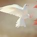 Ray Mueller - Facebook