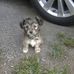 Ray Mull - Facebook