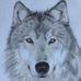 Ray Muller - Facebook