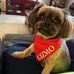 Ray Muller - Facebook