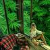 Ray Muller - Facebook