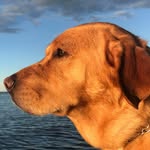 Raymond Nadeau - @rayntbay - Instagram