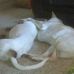 Wyley and Ray Nagel - Facebook