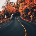 RaynaQuinn - @raynaquinn_writes - Instagram