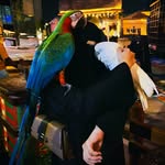 らい - @ray.nasser - Instagram