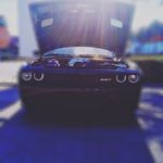 Ray Naugle - @exotic_rays - Instagram
