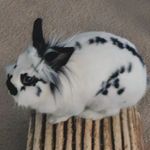 Ray Neff - @raybyte2a - Instagram
