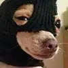 raynester - @raynester - TikTok