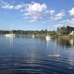 Raymond O'Neill - @rayoneill21 - Instagram