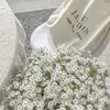 Ray Palacio - @ray.palacio2 - TikTok
