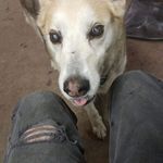 Ray Patterson - @raypatterson.rider69 - Instagram