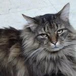 Ray Paxton - @raycrafter - Instagram