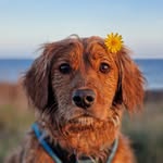Sunny Ray Peek - @sunnyraypeek - Instagram
