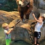 Ray Pennington - @ray.pennington.18 - Instagram