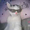 rayping🤞🏻😽 - @rara5875 - TikTok