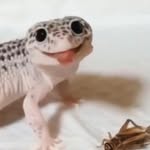 Zoology - @ray_ping_femcels69 - Instagram