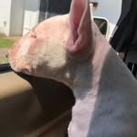 Ray Poe - @raypoe706 - Instagram