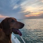 Ray Proctor - @ray.proctor.100 - Instagram