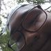 Ray Ramirez - Facebook