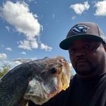 Ray Randle - @ray.randle.585 - Instagram