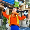 Ray_Reilly - @ray_reilly - TikTok
