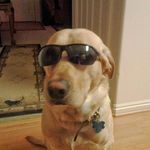 Ray Rendon - @everyone_knowsits_butters - Instagram